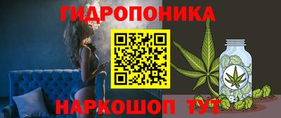 ALPHA PVP Бийск