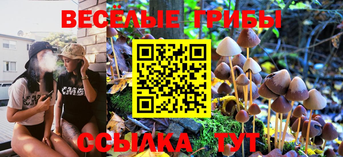 Псилоцибиновые грибы мицелий Калач-на-Дону